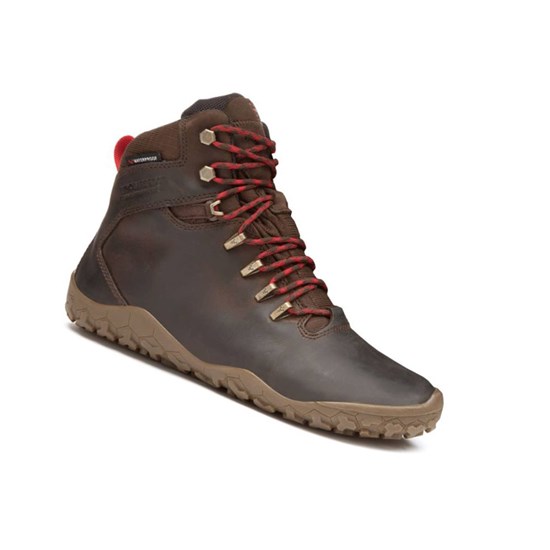 Bottes Randonnée Vivobarefoot Tracker Firm Ground Femme Marron Foncé | 7653CJZFM