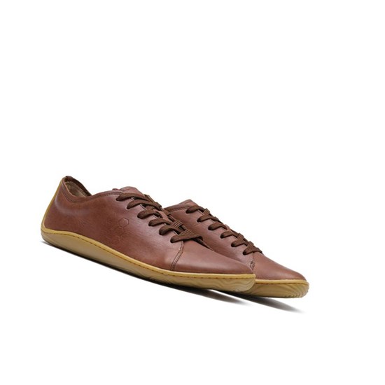 Chaussures Habillées Vivobarefoot Addis Soul of Africa Homme Marron | 9836RXQJA