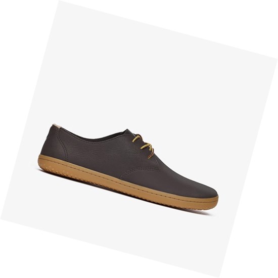 Chaussures Habillées Vivobarefoot Ra II Homme Marron Foncé | 6705SMJYV